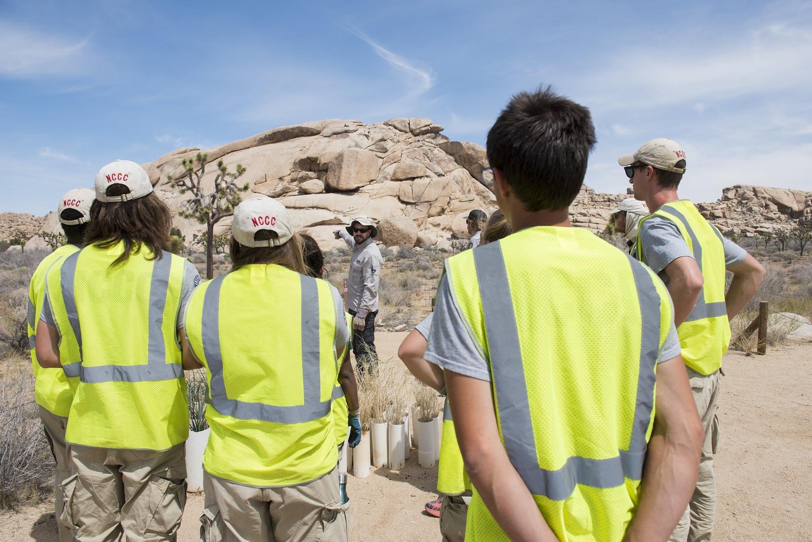 Trump admin guts AmeriCorps, leaving some Tucson nonprofits in limbo