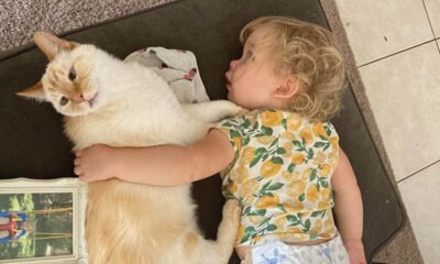 Wise old Archie bonds with young child