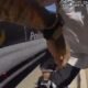Body cam captures man fighting Phoenix cop during traffic stop