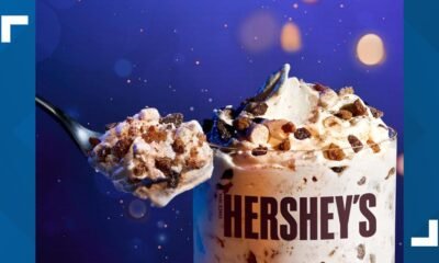 McDonald's releases new McFlurry flavor