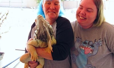 Lake Havasu City reptile sanctuary sees rise in abandoned reptiles