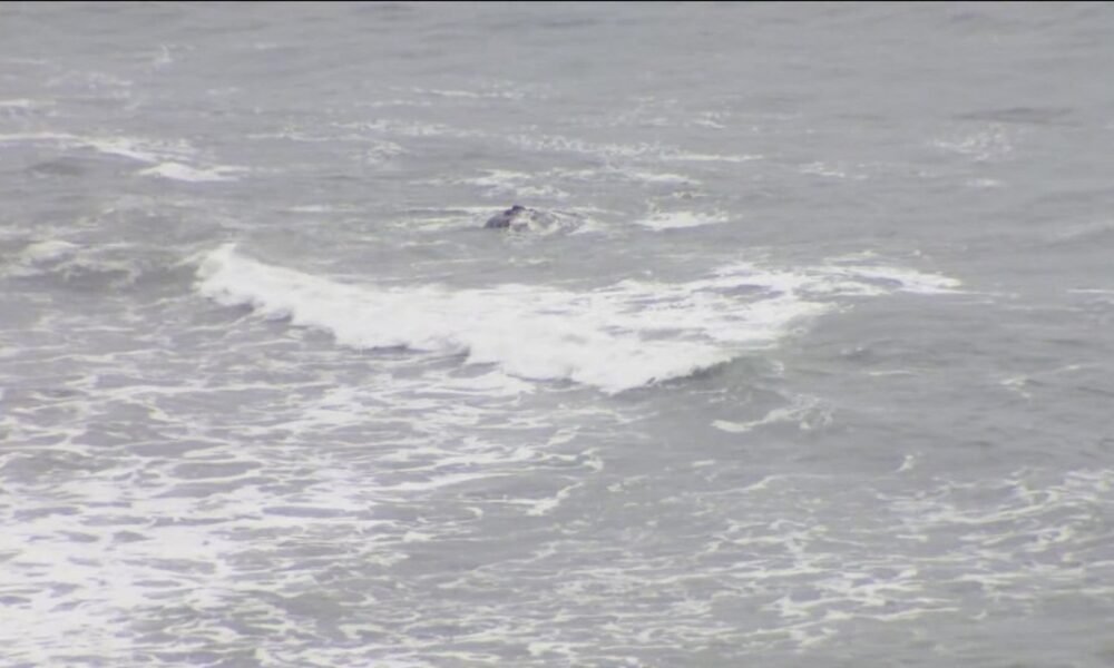 Plane that went down off California coast was bound for Phoenix, flight data shows