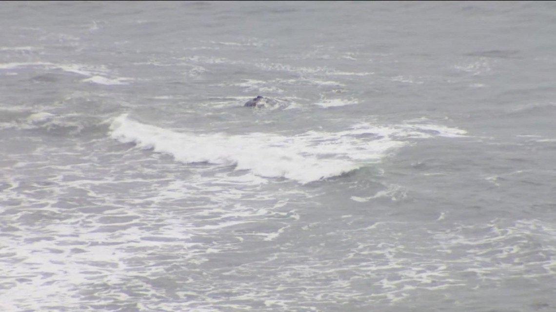 Plane that went down off California coast was bound for Phoenix, flight data shows