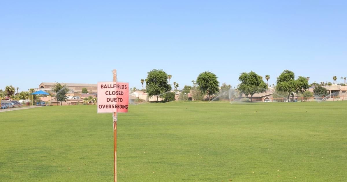 Lake Havasu City Council may OK use of effluent to irrigate three parks