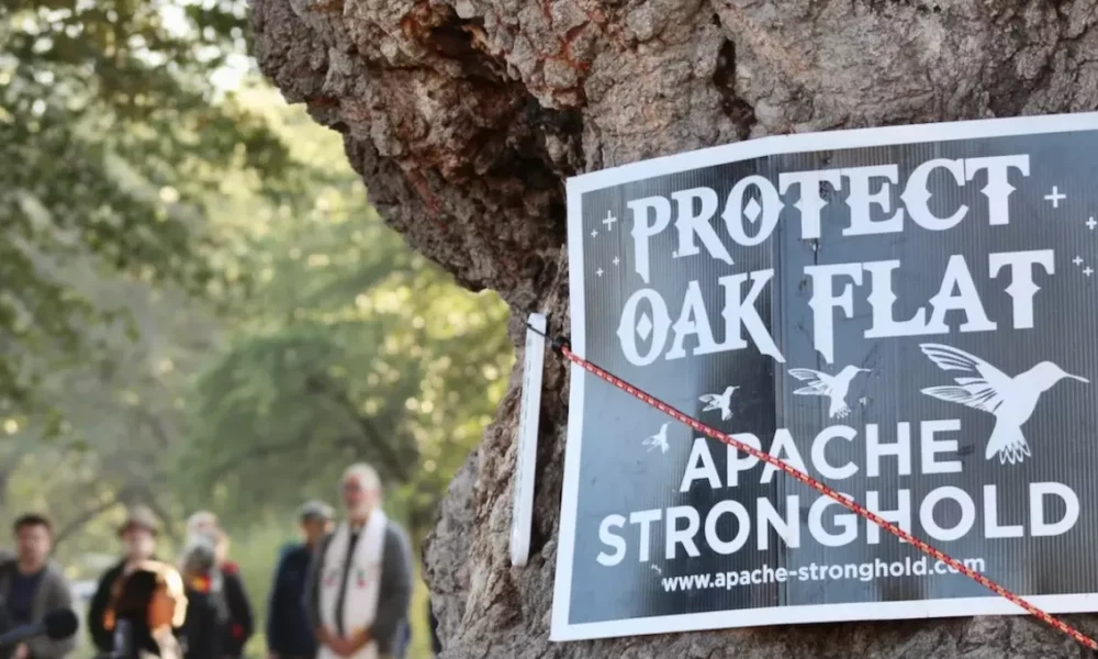 Arizona federal court revives fight to save Oak Flat from mining