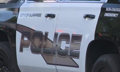 Surprise store looted by dozens of people, police say