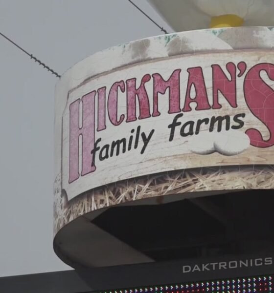 Arizona egg producer blames federal ban on avian flu vaccination