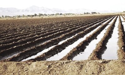 Kingman’s water supply remains in turmoil, according to new statistics