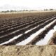 Kingman’s water supply remains in turmoil, according to new statistics