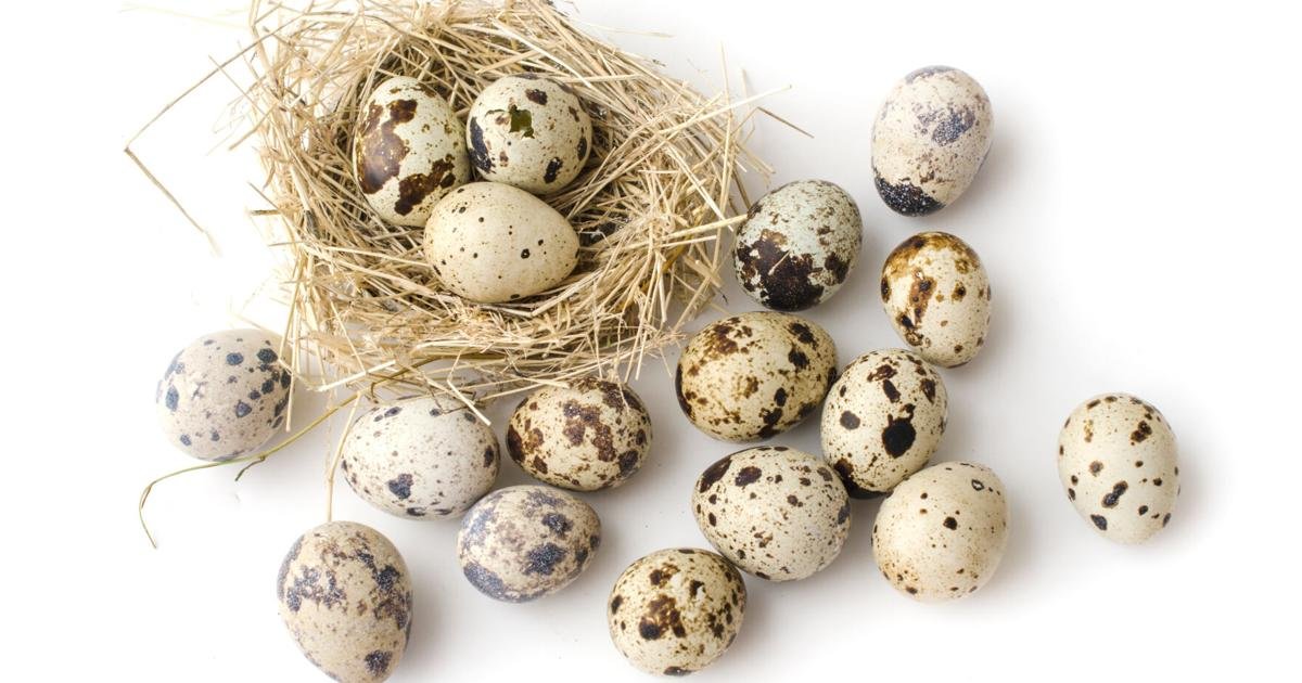 Bird flu spurs shift to quail eggs and other alternatives