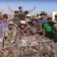 Arizona dove hunting season to open Sept. 1 with updated rules and bag limits