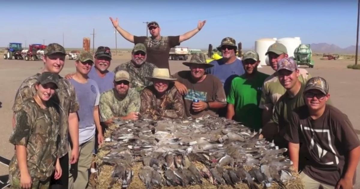 Arizona dove hunting season to open Sept. 1 with updated rules and bag limits