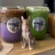 Meet Indigo Room, a hidden coffee shop in Phoenix