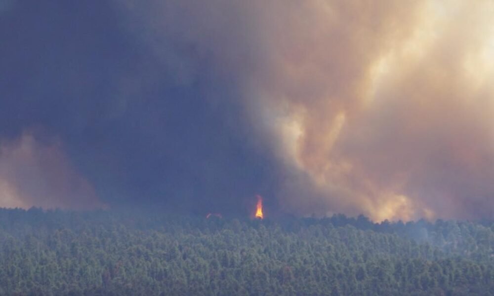 Oak Ridge fire burns 800 acres