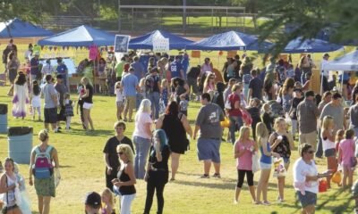 Lake Havasu City Council appoints members to parks and rec board, planning commission