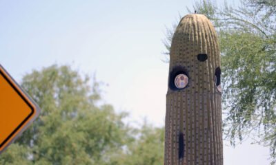 ALPRCactus
