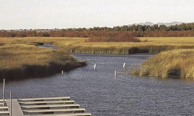 Bill would make water conservation rebates tax-free for homeowners