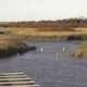Bill would make water conservation rebates tax-free for homeowners