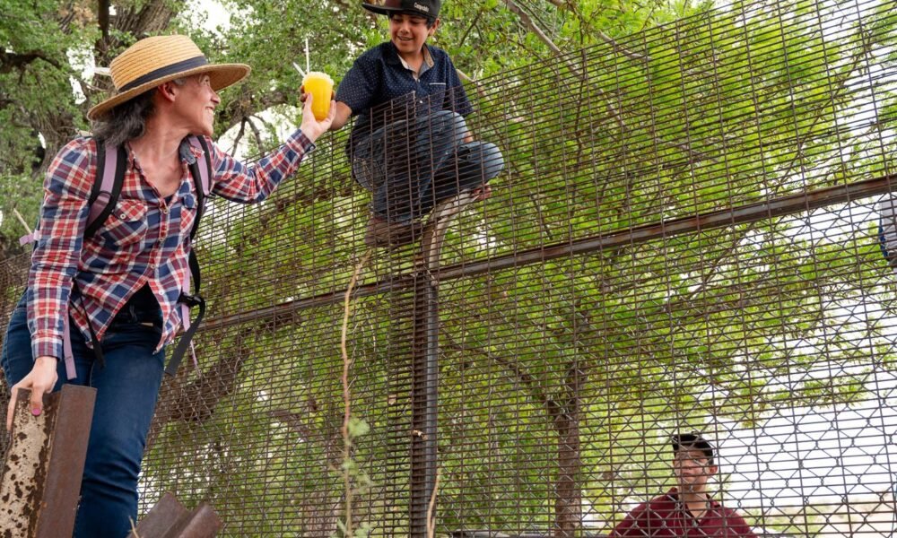 Binational 'border happening' celebrates San Rafael Valley as DHS prepares to build new wall