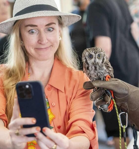City plans limits on recreation with ‘exotic’ pets