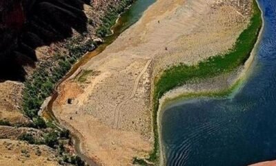 Colorado River project near Glen Canyon Dam targets smallmouth bass to protect native fish