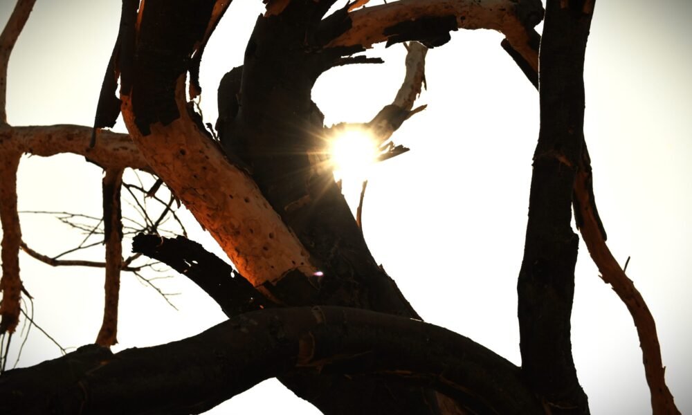 First ‘extreme heat warning’ of summer starts Saturday morning