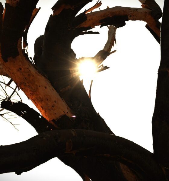 First ‘extreme heat warning’ of summer starts Saturday morning