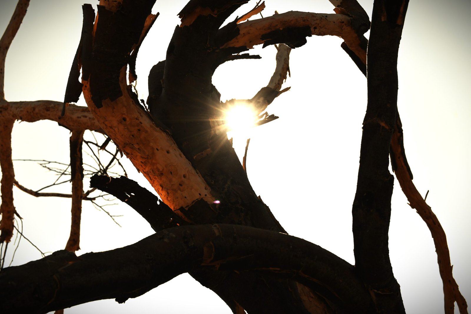 First ‘extreme heat warning’ of summer starts Saturday morning