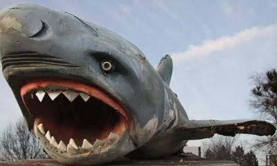 ‘Jaws’ and the two musical notes that changed Hollywood