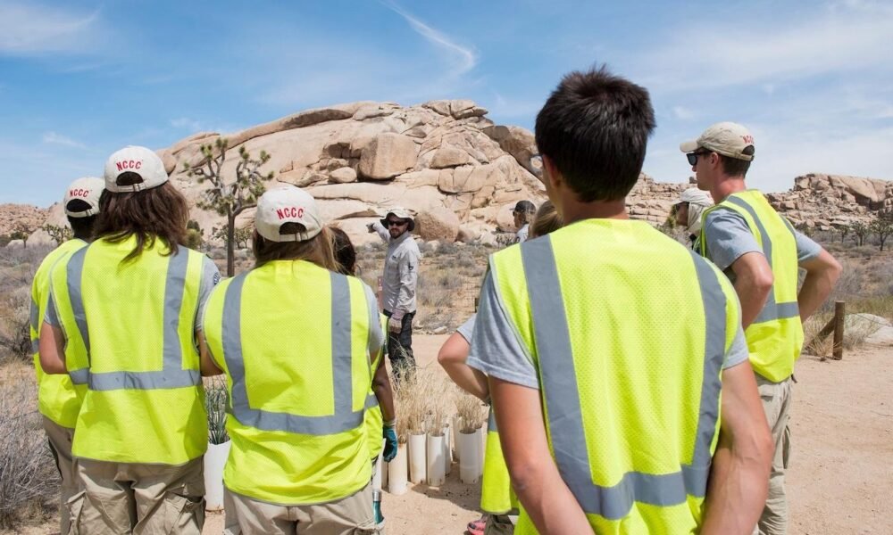 Judge orders Trump administration to restore AmeriCorps services in 24 states