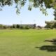 Lake Havasu City, Army engineers partner on water conservation project for local parks