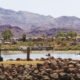 Go Lake Havasu embraces USA Today recognitions to boost tourism, highlight ‘lake appeal’