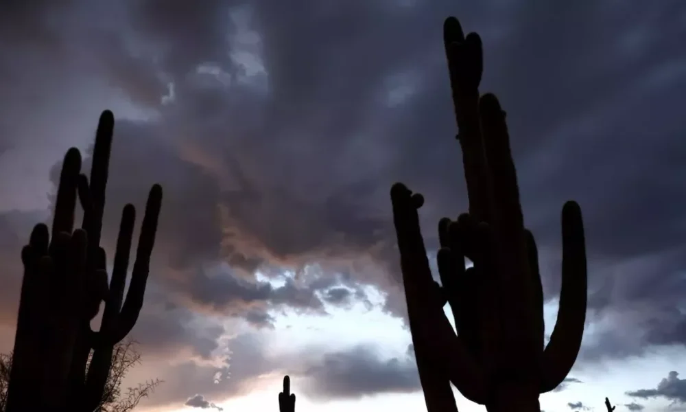 Which Maricopa County areas saw the most rainfall Sunday?