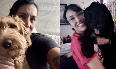 Maricopa family posts $2,000 in rewards for missing doodles