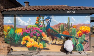 Muralist Mory brings another Pacana Park wall to life