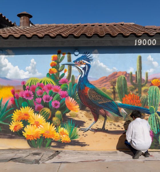 Muralist Mory brings another Pacana Park wall to life