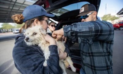 PACC offering free microchips to dogs & cats ahead of 4th of July