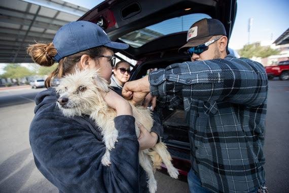 PACC offering free microchips to dogs & cats ahead of 4th of July