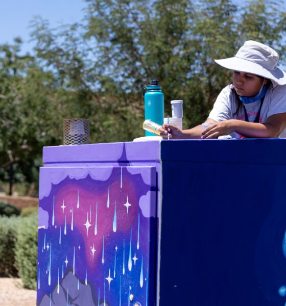 Painter shares meaning behind new traffic box art. Where to find it