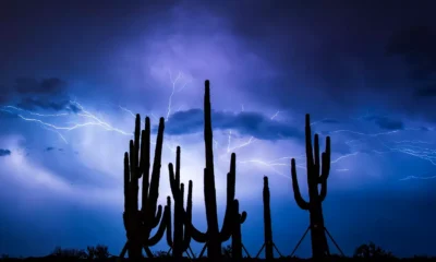 New Phoenix, Arizona monsoon season forecast: What to expect