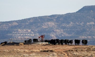 Long-thwarted efforts to sell public lands see new life under Trump