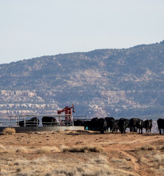 Long-thwarted efforts to sell public lands see new life under Trump