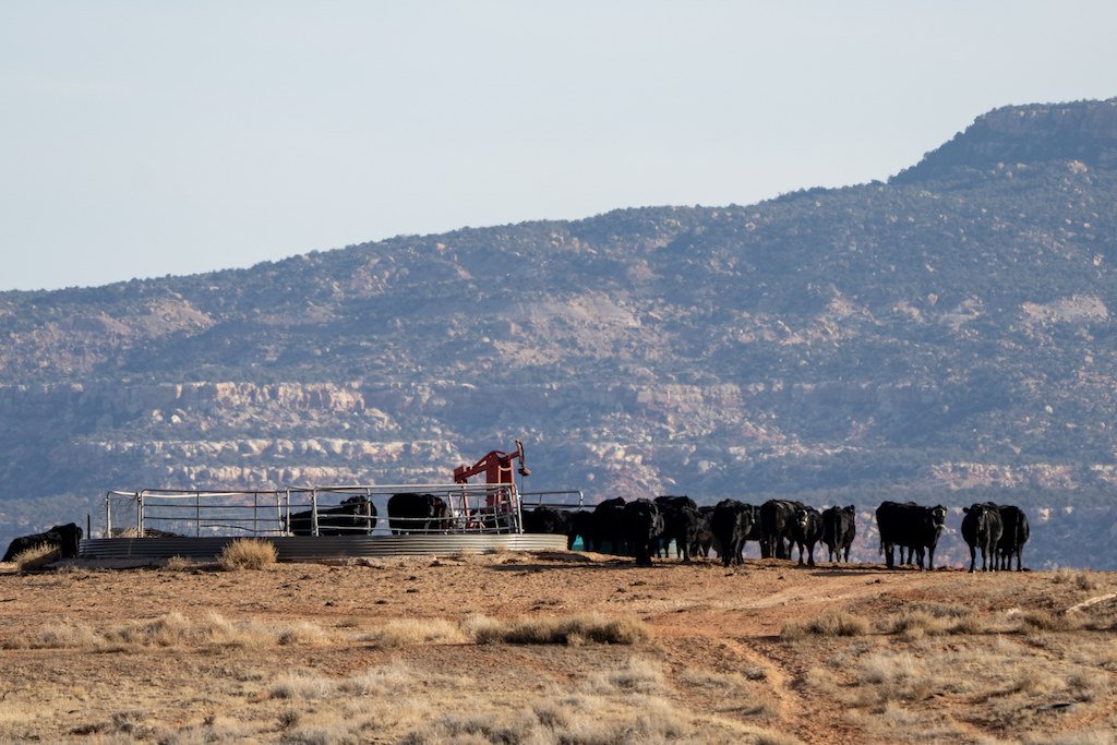 Long-thwarted efforts to sell public lands see new life under Trump