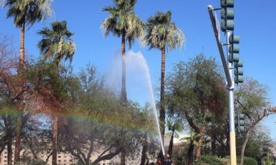 Small brush fire causes damage near entrance to Harrah’s in Laughlin