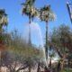 Small brush fire causes damage near entrance to Harrah’s in Laughlin