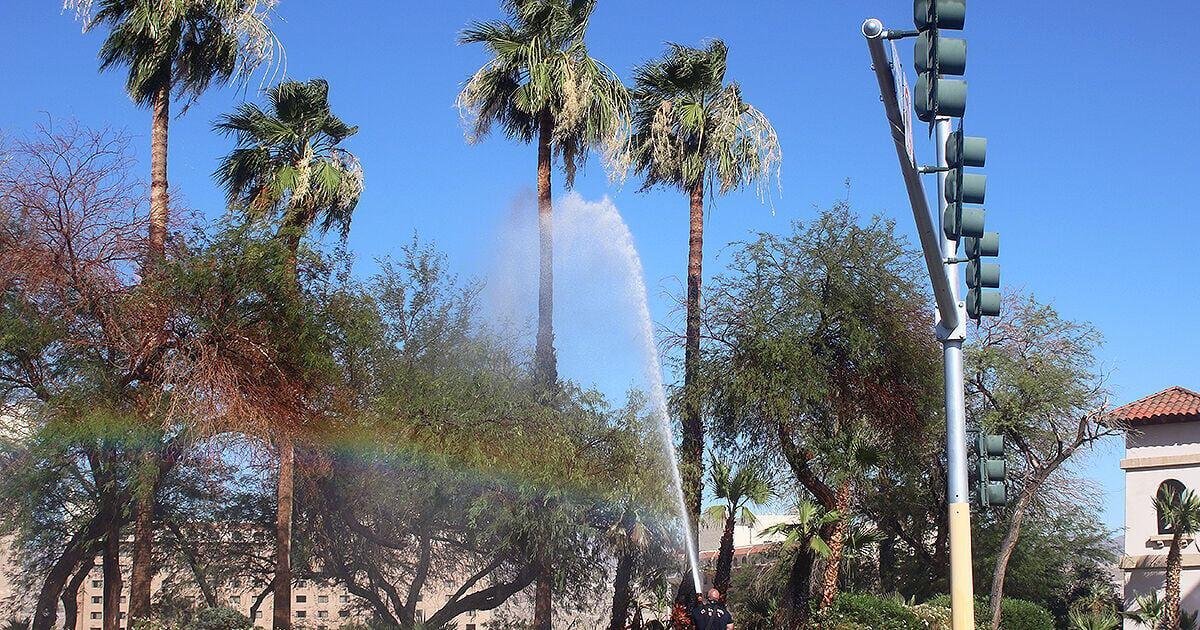 Small brush fire causes damage near entrance to Harrah’s in Laughlin