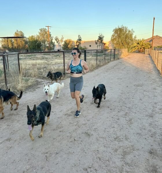 ‘Up in the air’ is T-bird Farms dog breeder playing waiting game in permit case