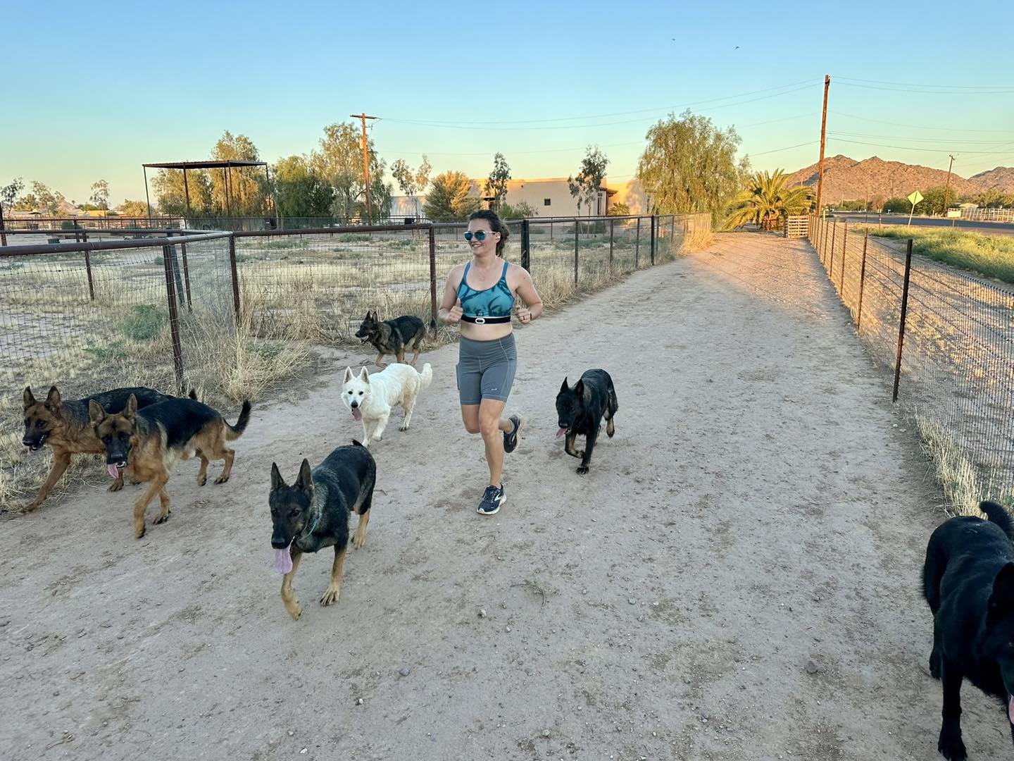 ‘Up in the air’ is T-bird Farms dog breeder playing waiting game in permit case