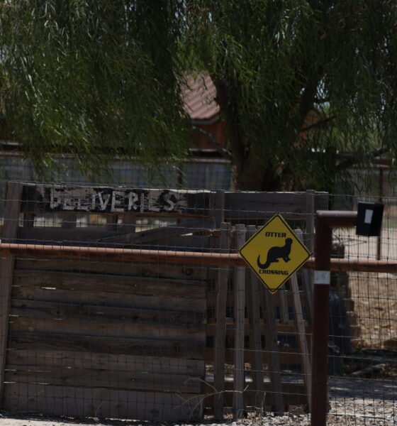 After 3 votes, dog-breeding kennels in T-bird Farms sent back to supes