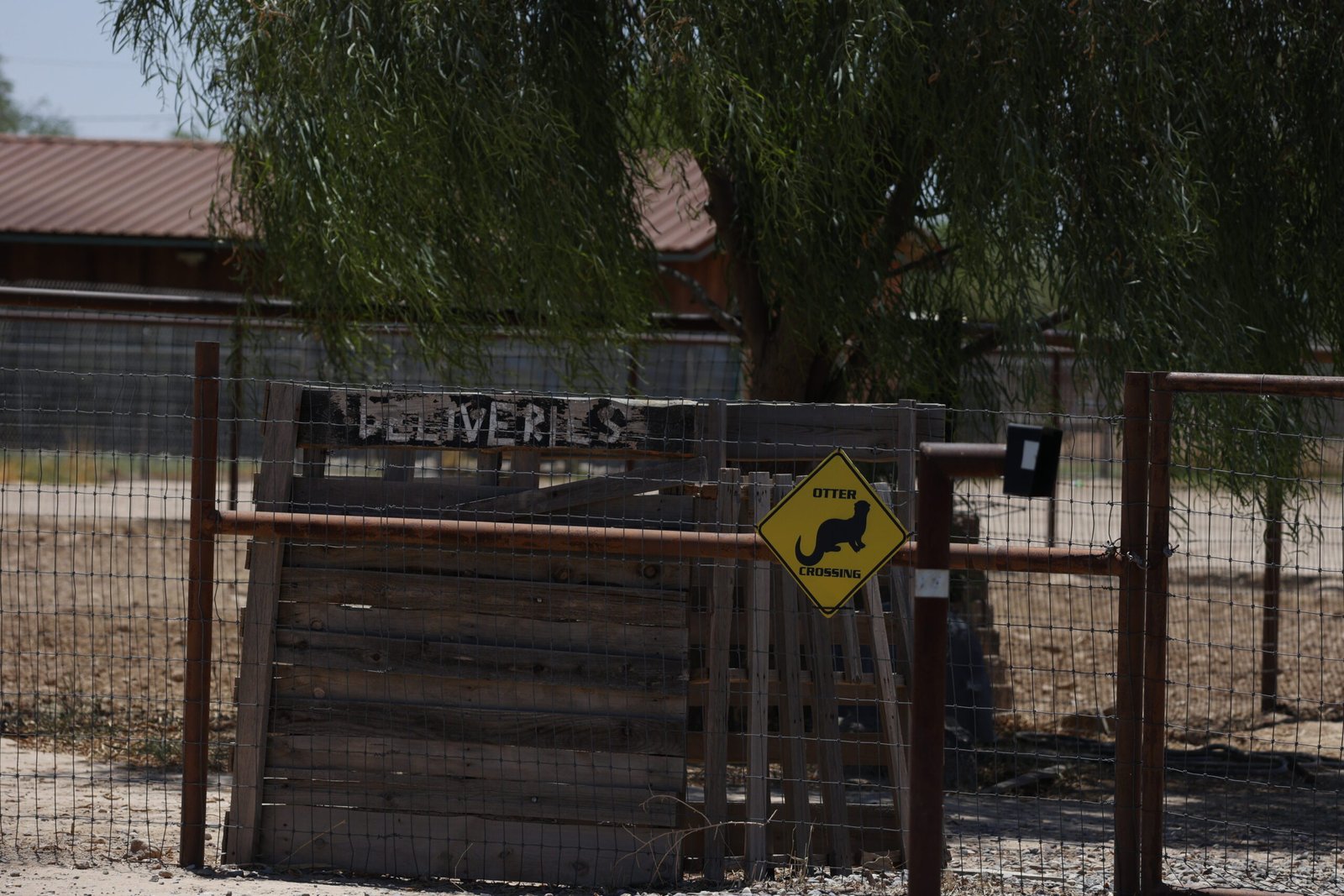 After 3 votes, dog-breeding kennels in T-bird Farms sent back to supes